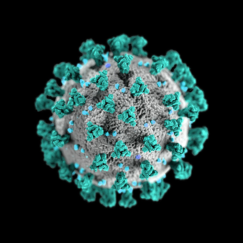 Matagorda County adds 23 new positive COVID-19 cases Monday